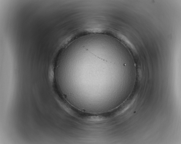 X0000115630541200911171338