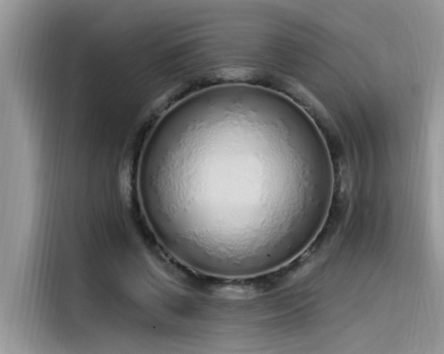 X0000115630542200911171338