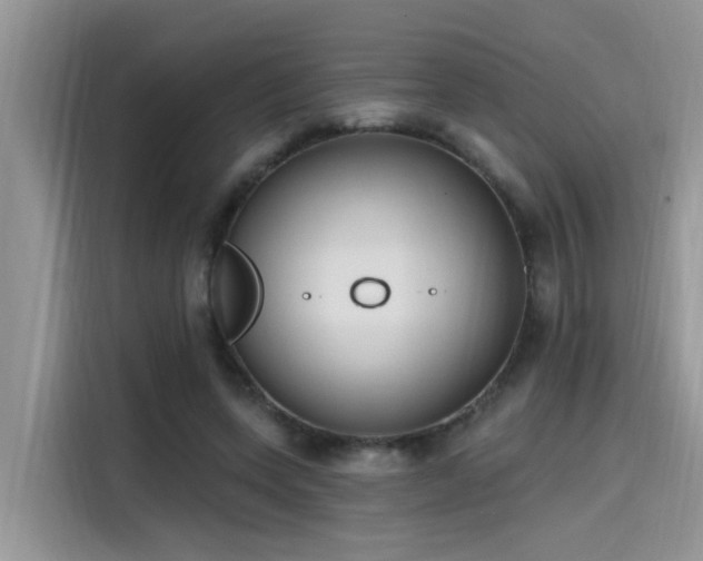 X0000115630543200911171338