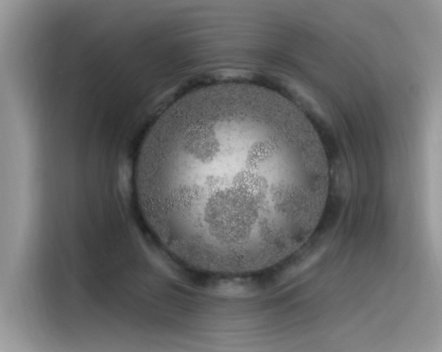 X0000115630550200911171338