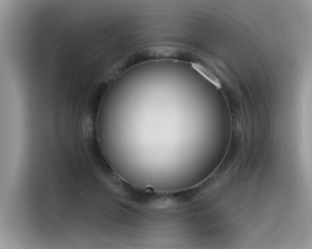 X0000115630551200911171338