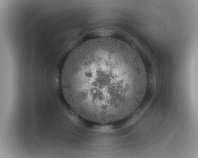 X0000115630553200911171338