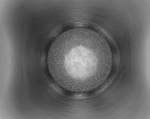 X0000115630557200911171338