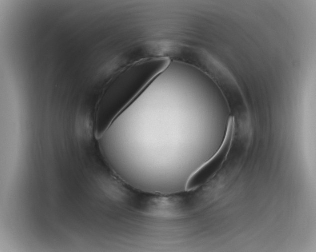 X0000115630558200911171338