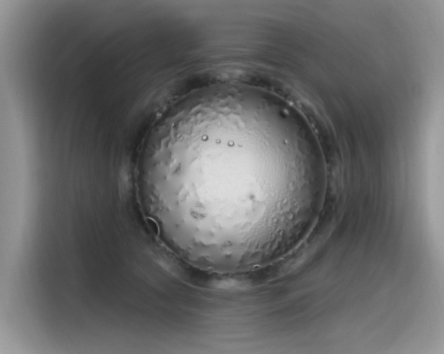 X0000115630561200911171338