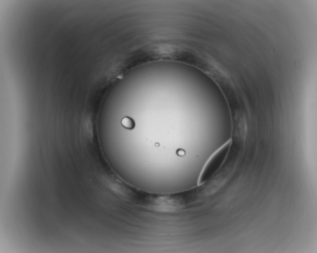 X0000115630562200911171338