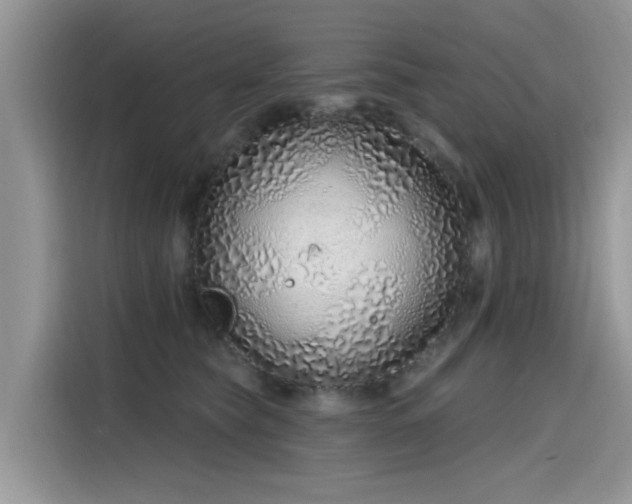 X0000115630565200911171338