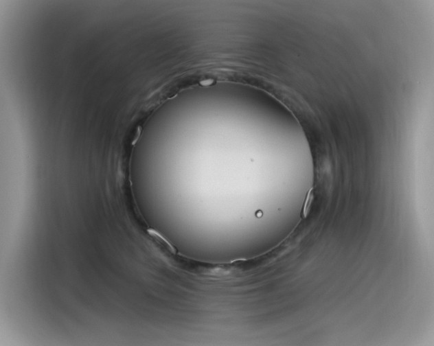 X0000115630566200911171338