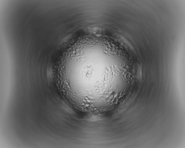 X0000115630569200911171338