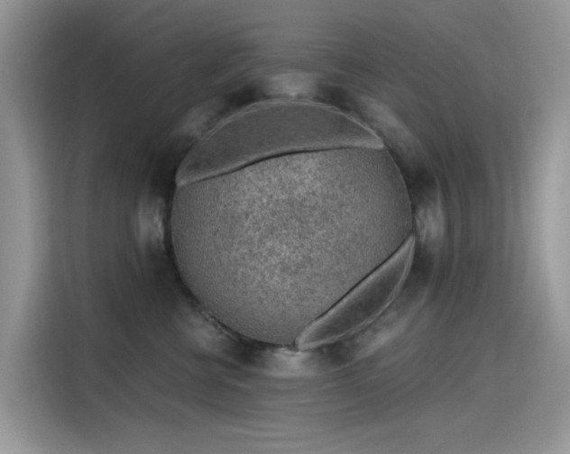 X0000115630570200911171338