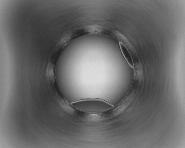 X0000115630573200911171338