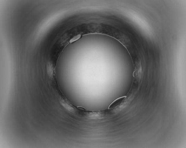 X0000115630574200911171338