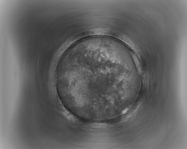 X0000115630577200911171338