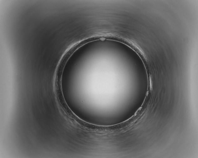 X0000115630579200911171338