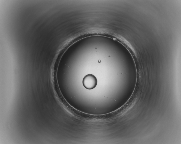 X0000115630581200911171337