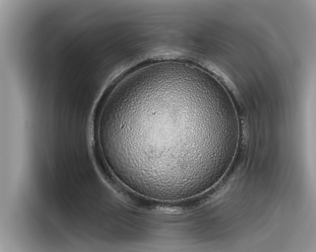 X0000115630582200911171337