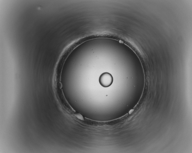 X0000115630583200911171337