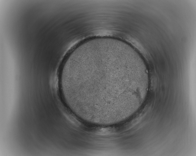 X0000115630584200911171337