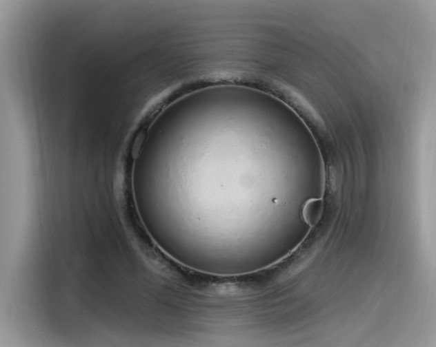 X0000115630588200911171337