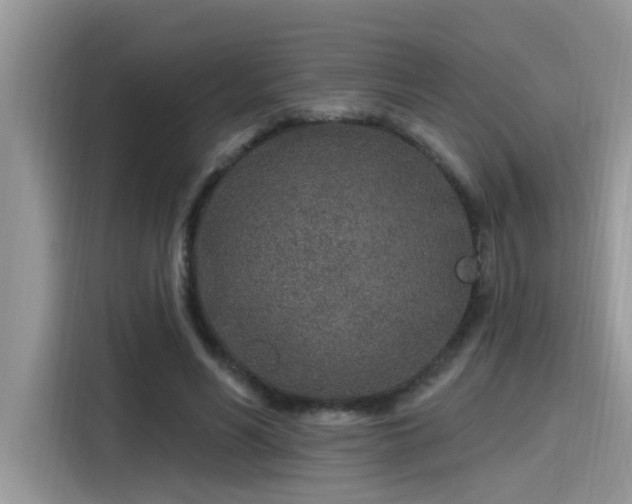 X0000115630590200911171337