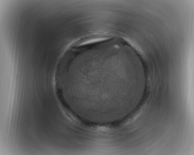 X0000115630592200911171337