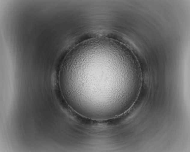 X0000115630594200911171337