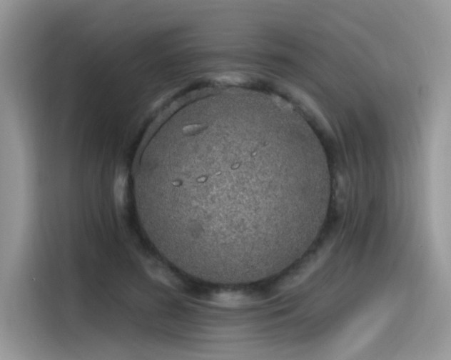 X0000115630596200911171337