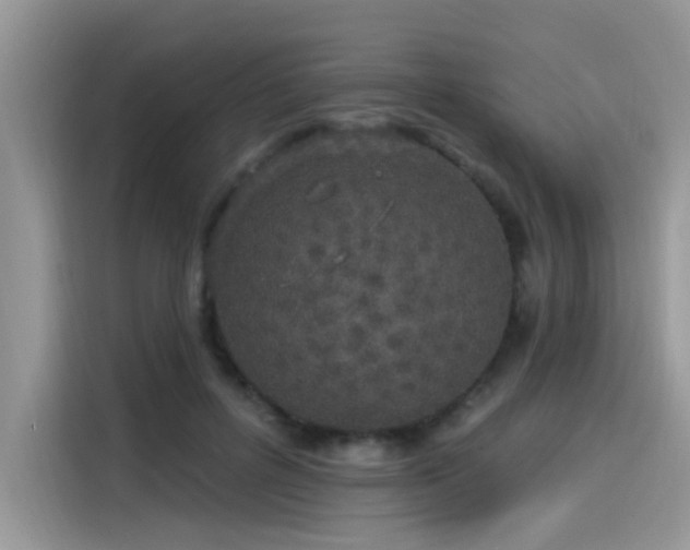 X0000115630600200911171337