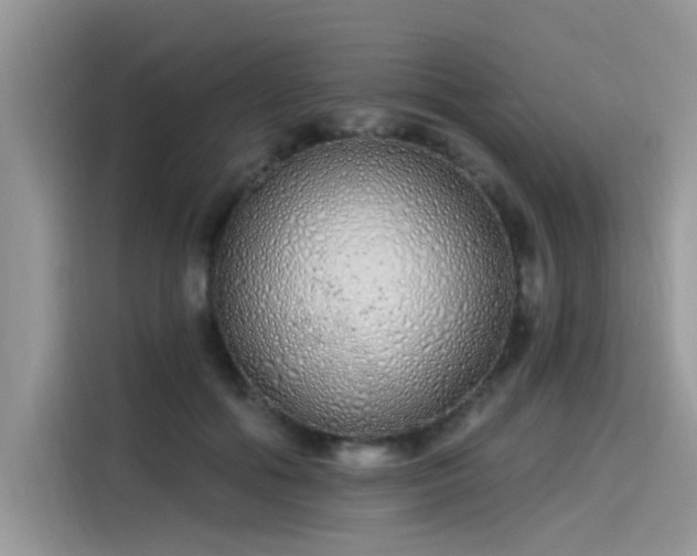 X0000115630602200911171337