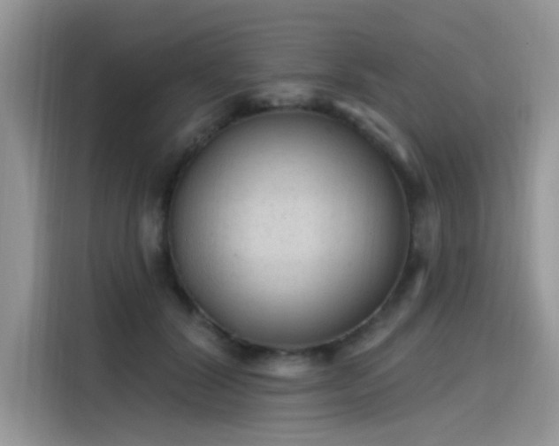 X0000115630604200911171337