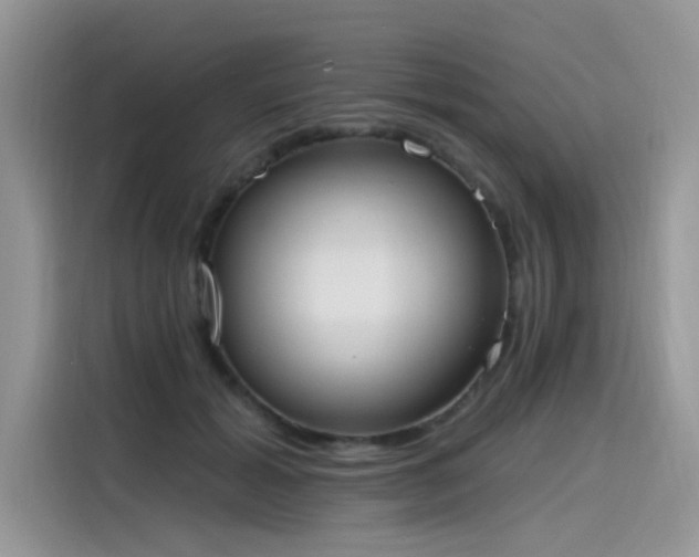 X0000115630605200911171337