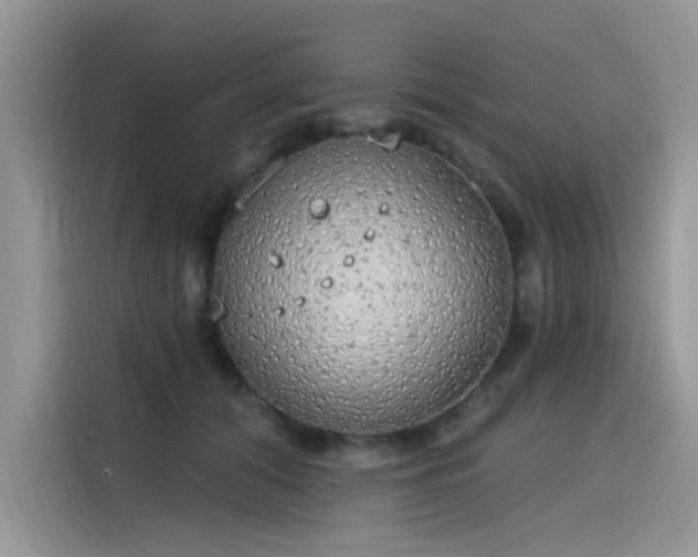 X0000115630608200911171337