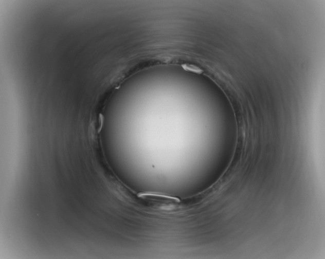 X0000115630611200911171337