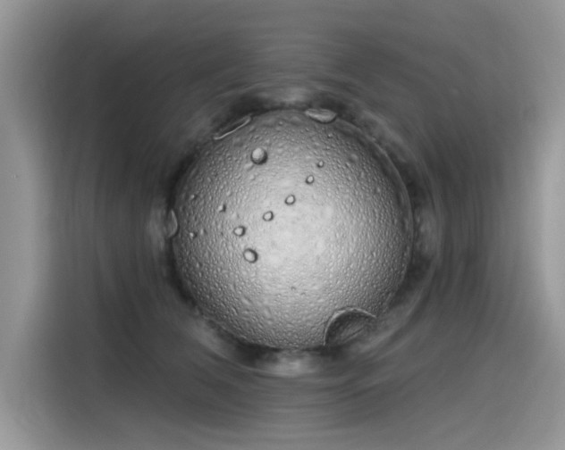 X0000115630612200911171337