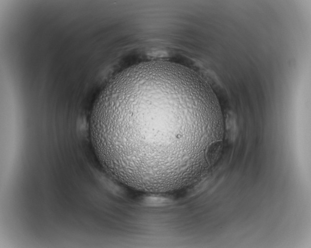 X0000115630614200911171337