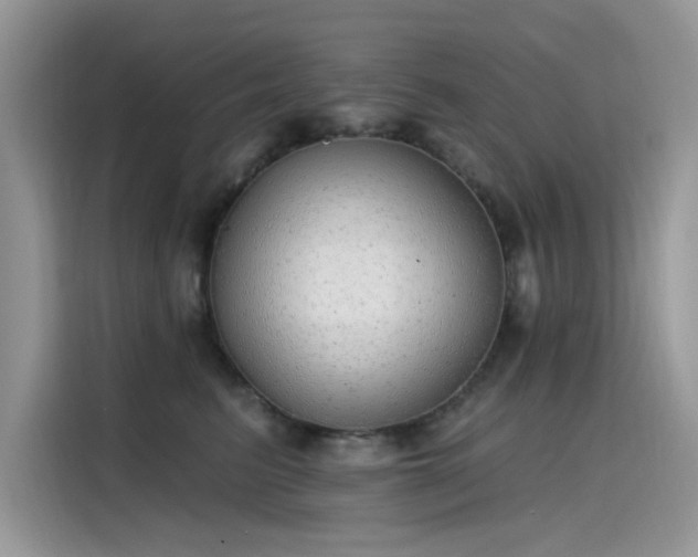 X0000115630615200911171337