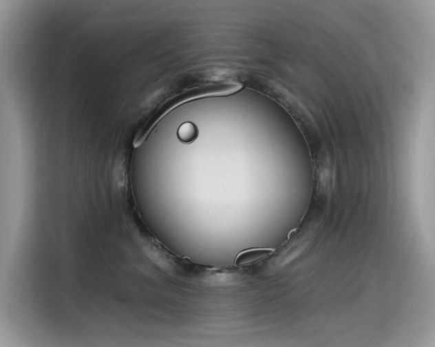 X0000115630620200911171337