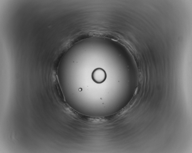 X0000115630621200911171337