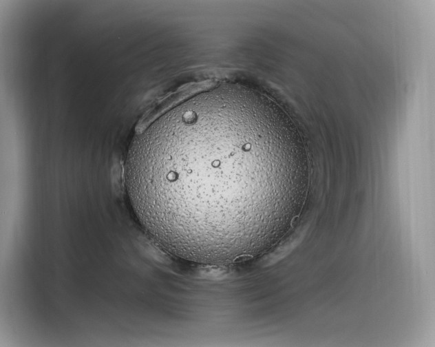 X0000115630624200911171337