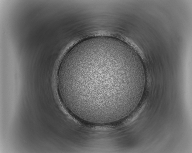 X0000115630625200911171336