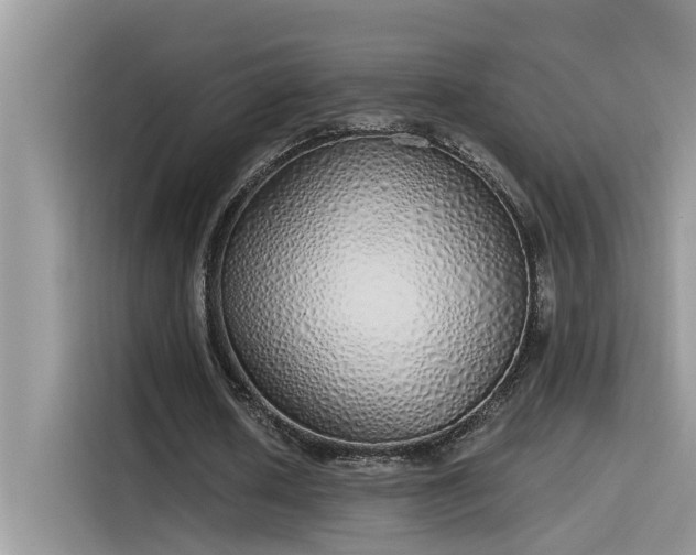 X0000115630626200911171336