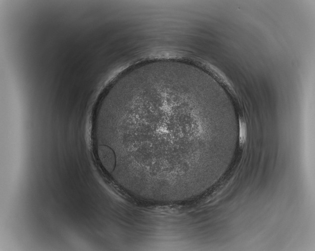 X0000115630627200911171336