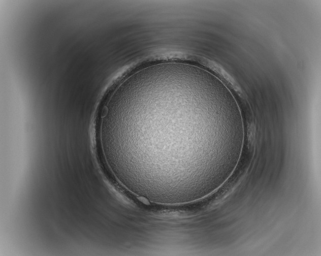 X0000115630629200911171336