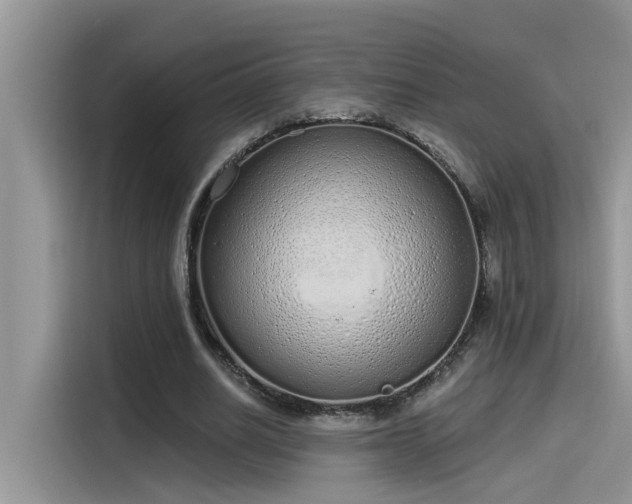 X0000115630630200911171336