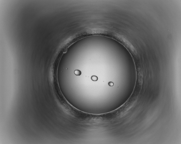 X0000115630631200911171336