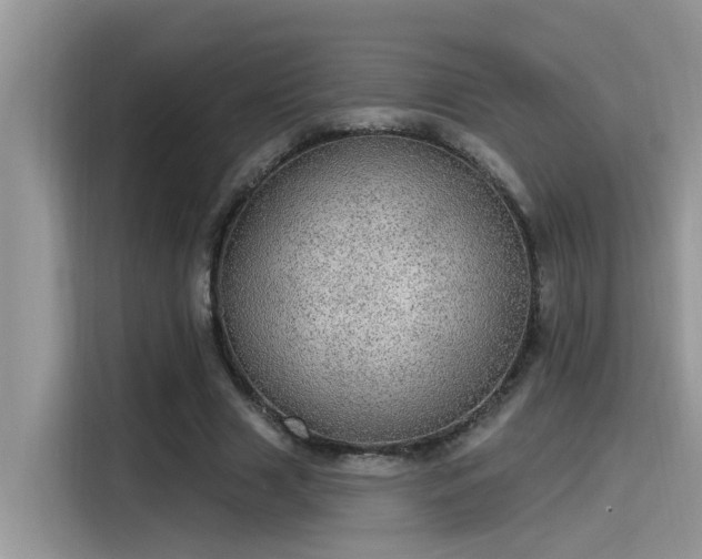 X0000115630633200911171336