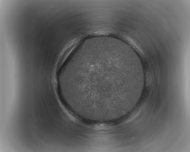 X0000115630634200911171336