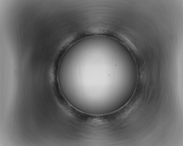 X0000115630635200911171336