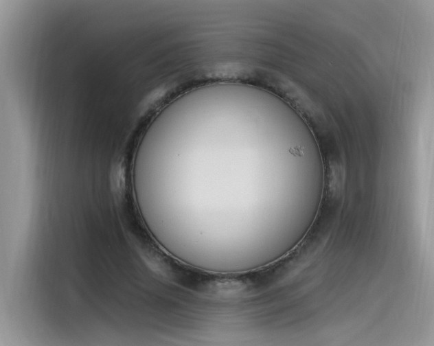 X0000115630636200911171336