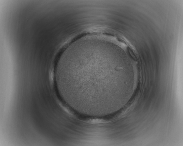 X0000115630637200911171336